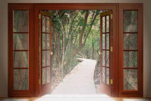 Как отремонтировать филенчатое дверное полотно и коробку