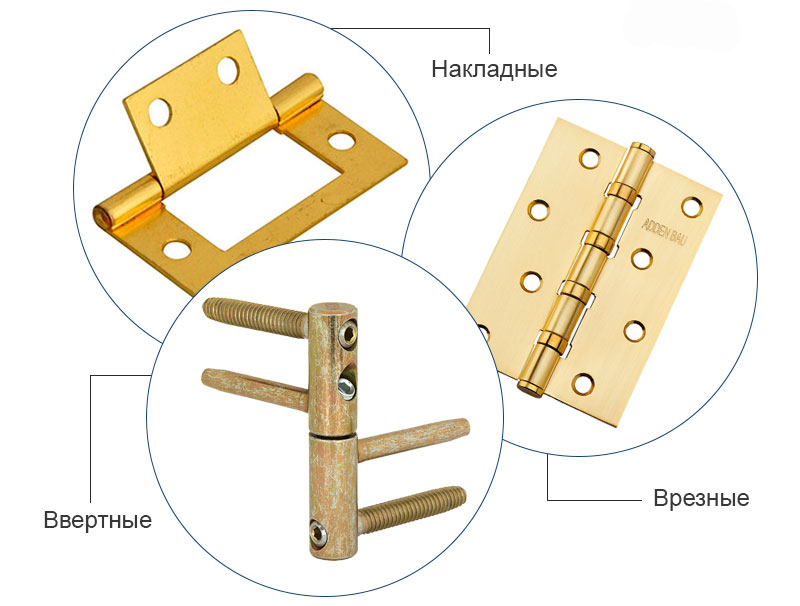 Виды дверных петель